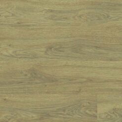 510031023 PALLAS OAK