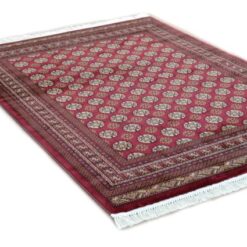 Alternative view of CORDOBA 1649 CHERRY